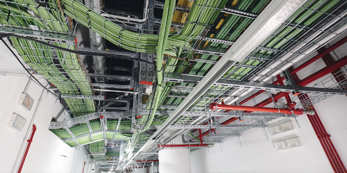 JM_05721_cropped (5379979)