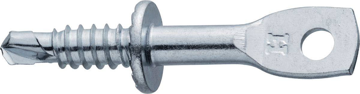 Eyelag screw 1/4" EL SD ZN