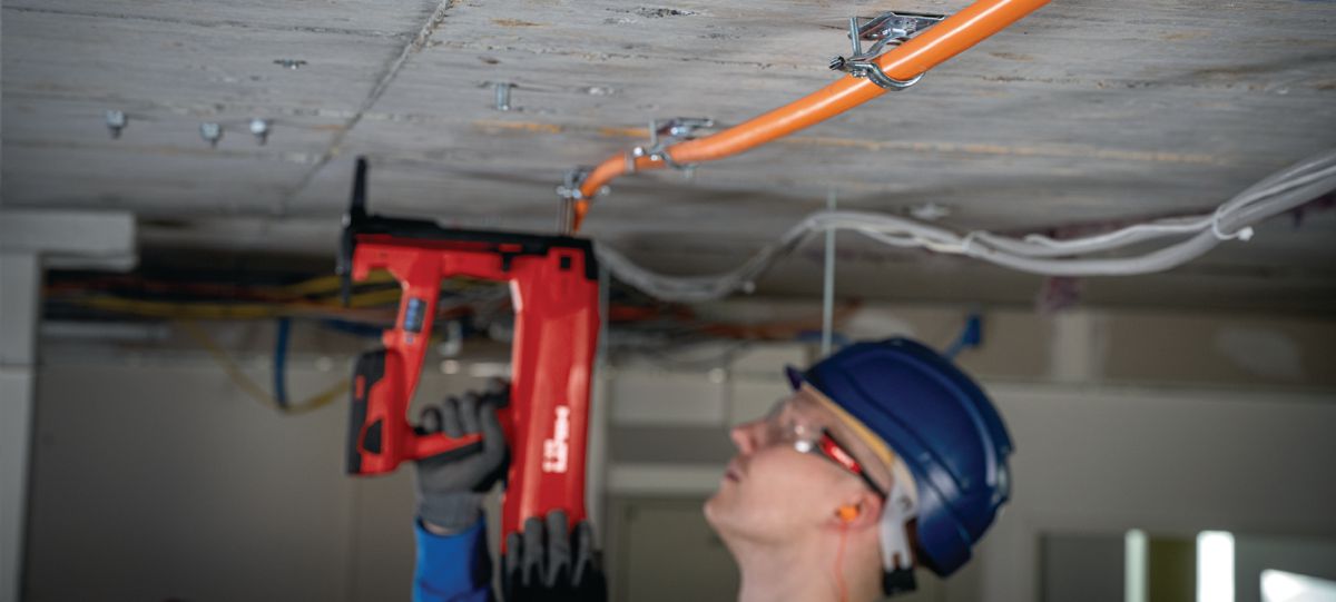 L126649_cropped (228732)