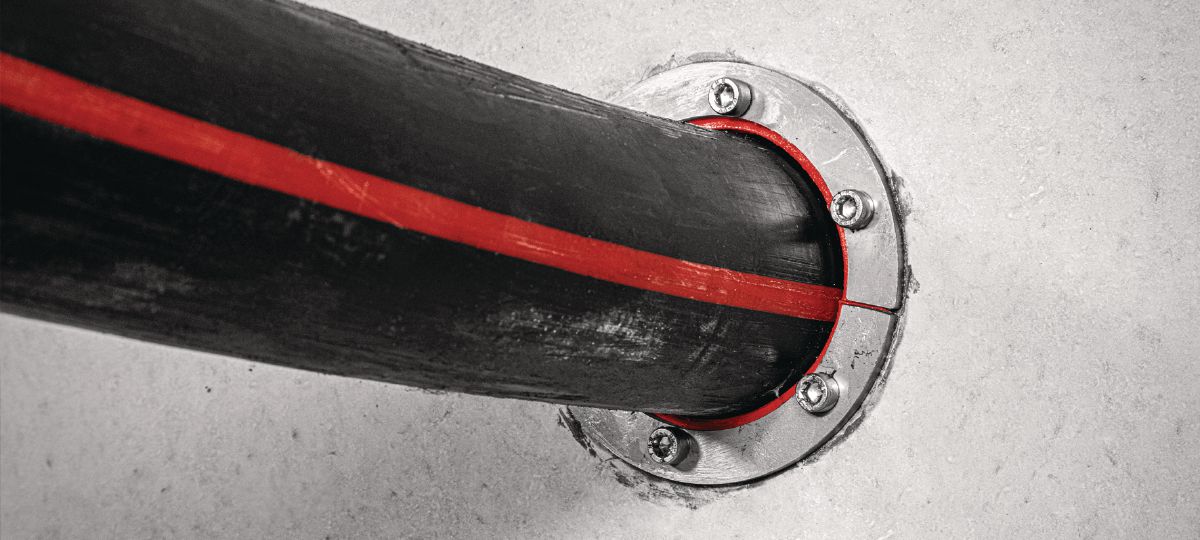 L146269_cropped (3012253)