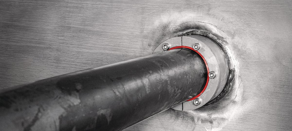 L146276_cropped (3012296)