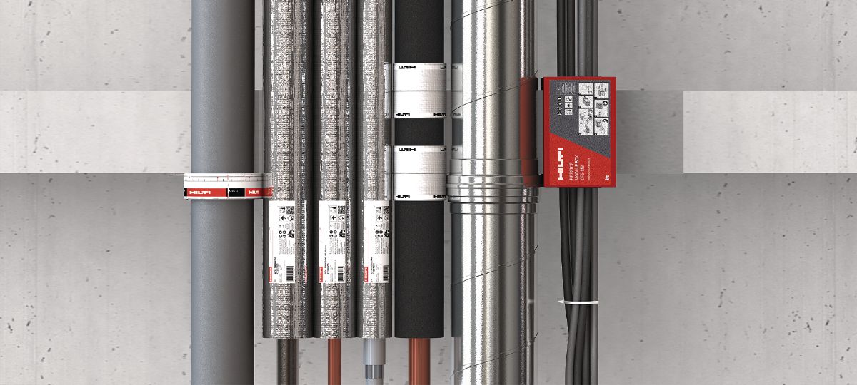 L156490_cropped (3216953)