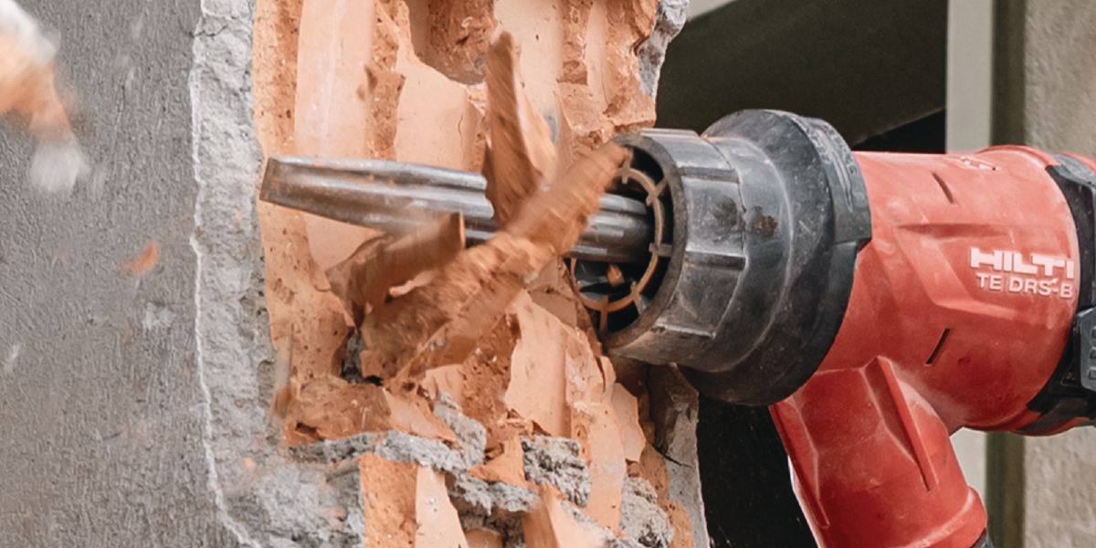 L156595_cropped (5267053)