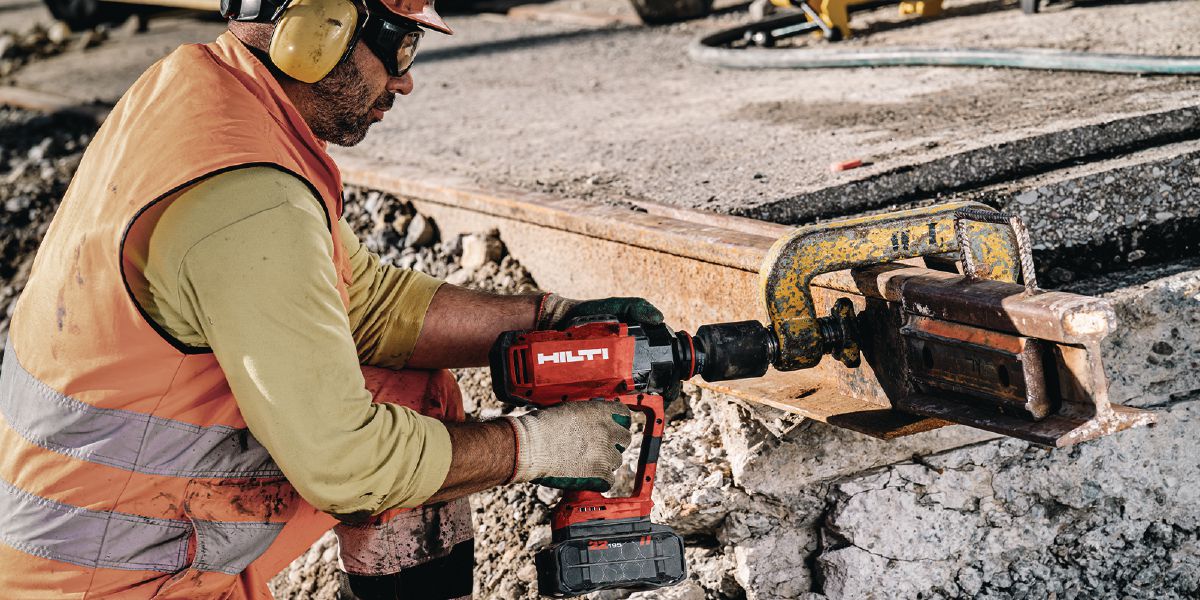 L157524_cropped (4582524)