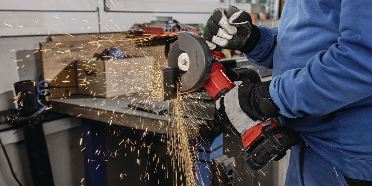 L158701_cropped (5384886)