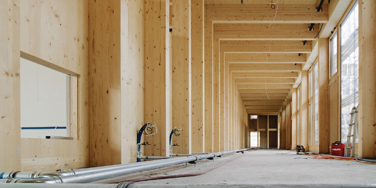 L_Timber_1_cropped (5379977)