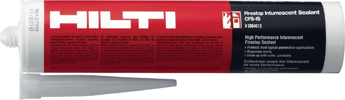 CFS-IS