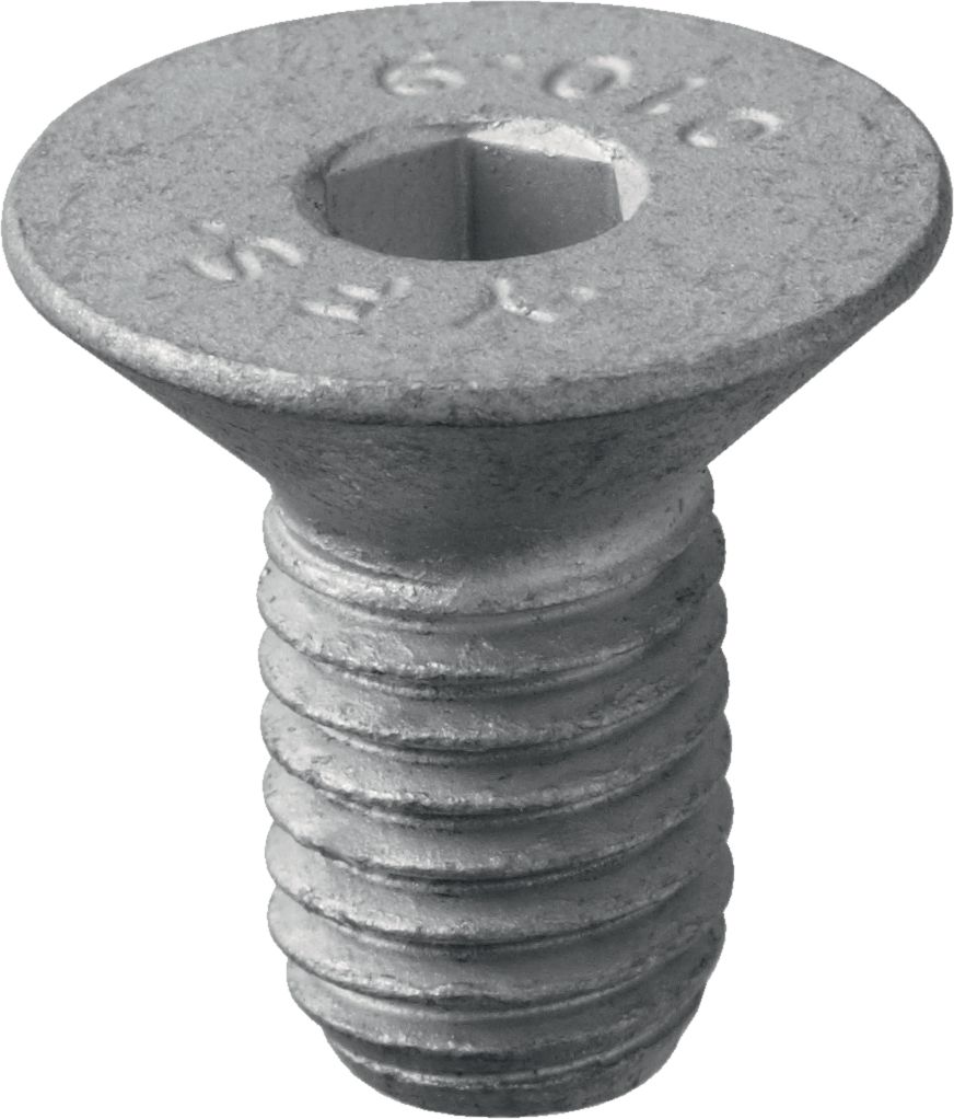 Hilti Tornillo 2 x M10x12 + 5 x M10x20 juego · 242383