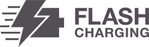 Icon Flash Charging_Steel (5441097)