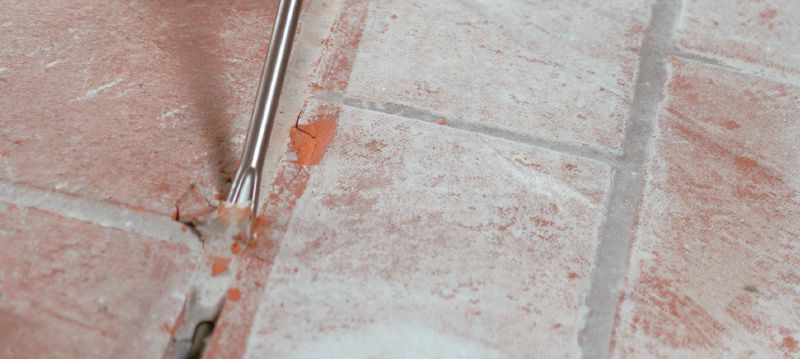 FERNANDES TE70？75-BT BUCK-TICK f.g.i pu c1990 Fernandes TE-75BT Ltd. Ed. Buck Tick Telecaster (Japan